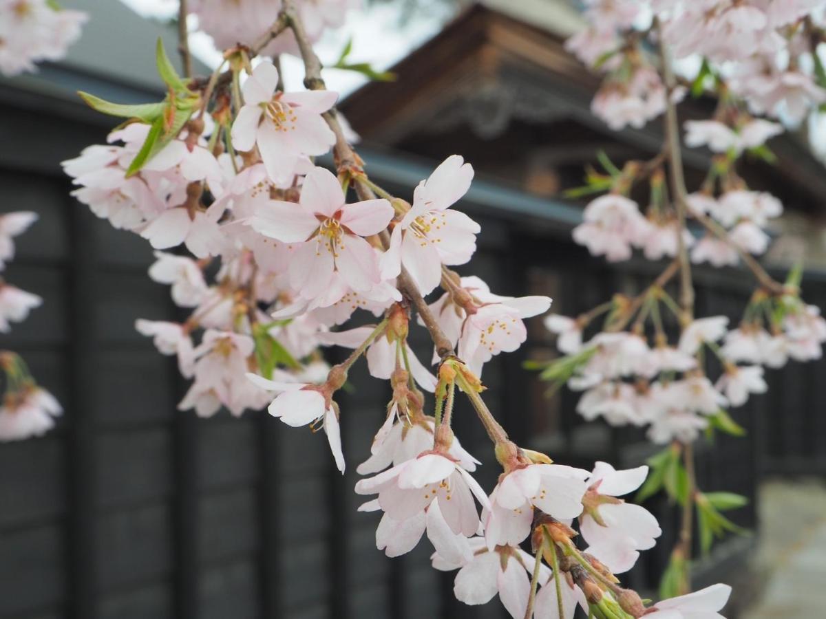 Tamachi Bukeyashiki Hotel - Vacation Stay 20163V Daisen  Extérieur photo